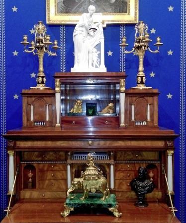 The David Roche Foundation